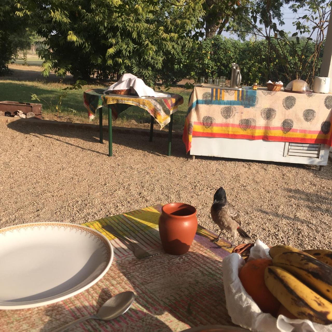 Hotel Savista Retreat Dźajpur Zewnętrze zdjęcie